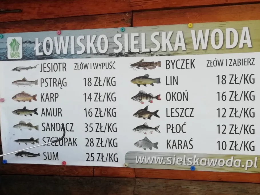 Sielska Woda angeln