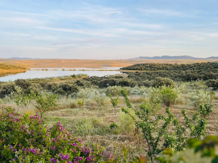 Embalse de Orellana (Badajoz) angeln