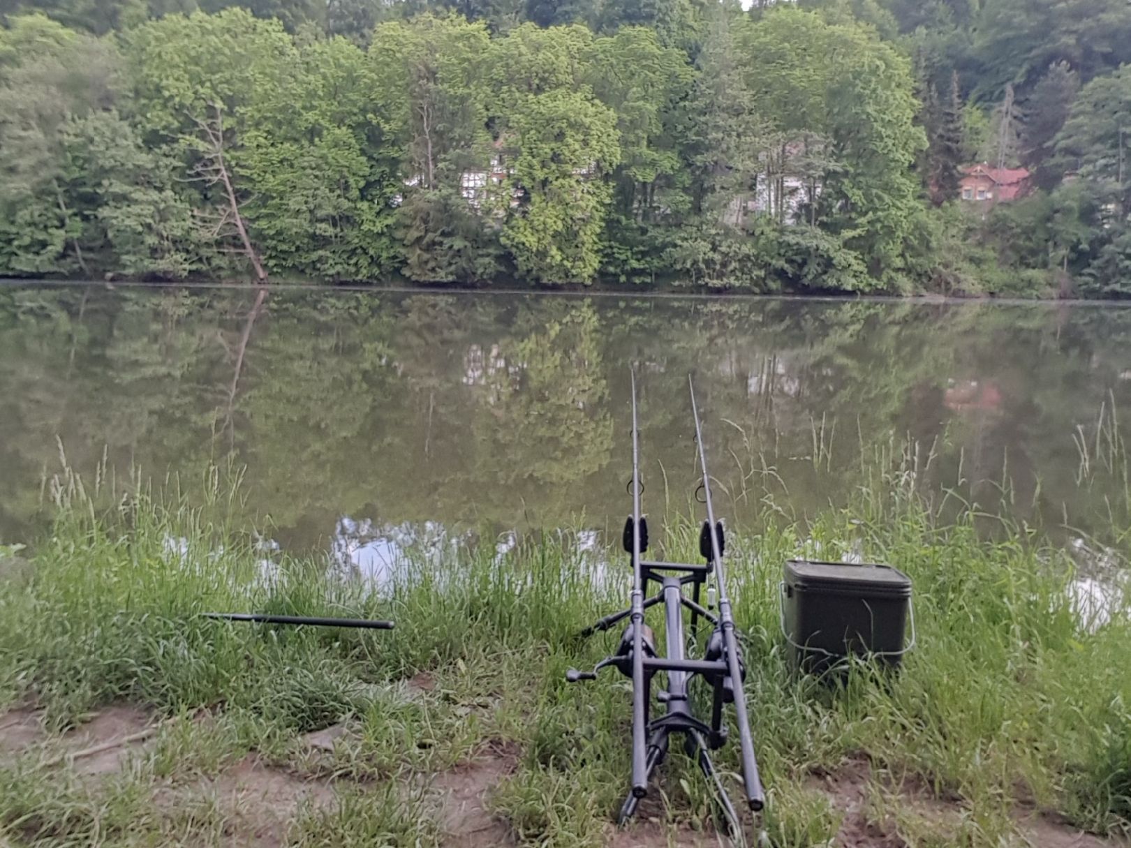 Nidderstausee Hirzenhain angeln