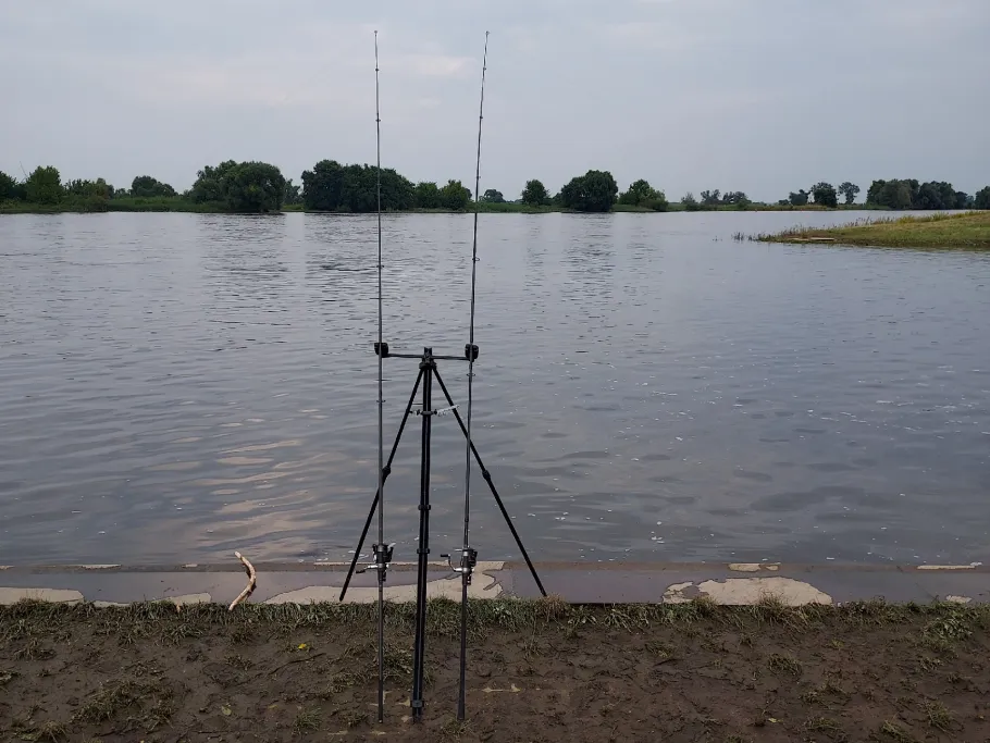 Hafen Tangermünde angeln