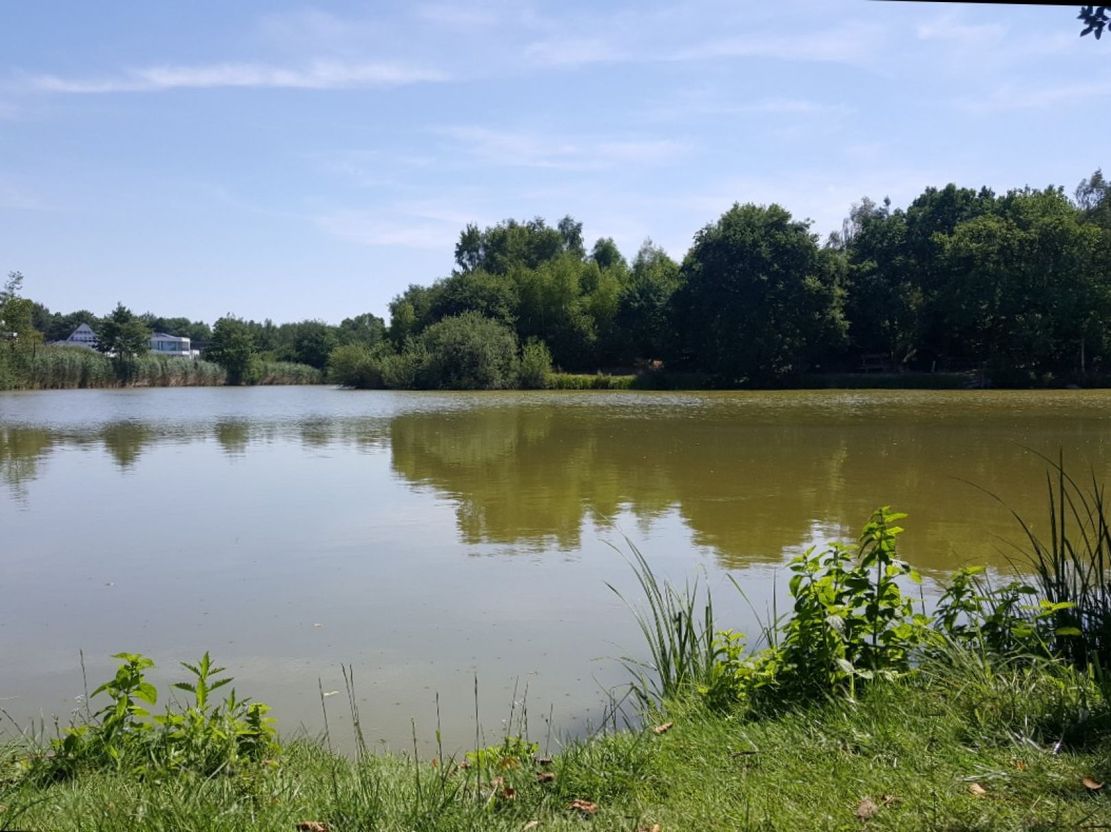 Waldsee Lehre angeln