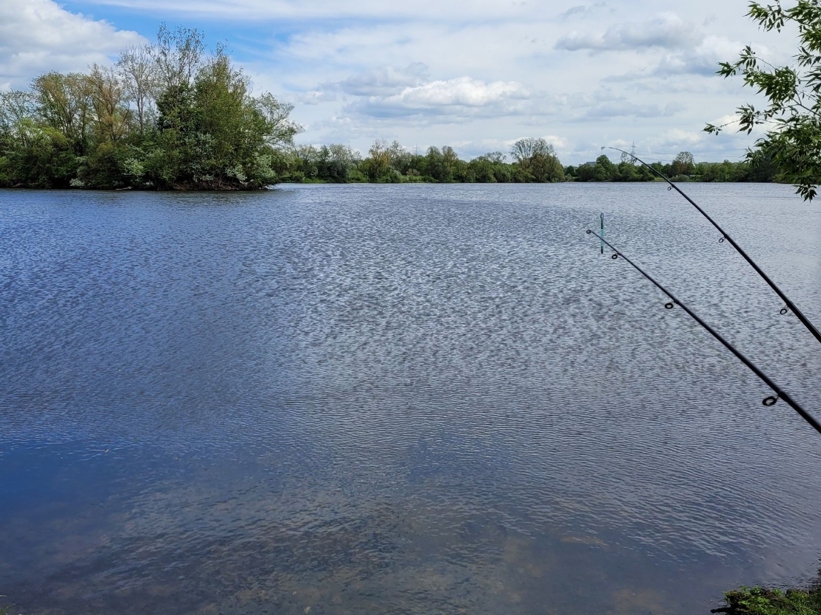 VSA-Angelsee (Heuchelheim) angeln