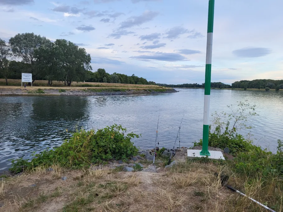 Rheinhafen Offendorf angeln