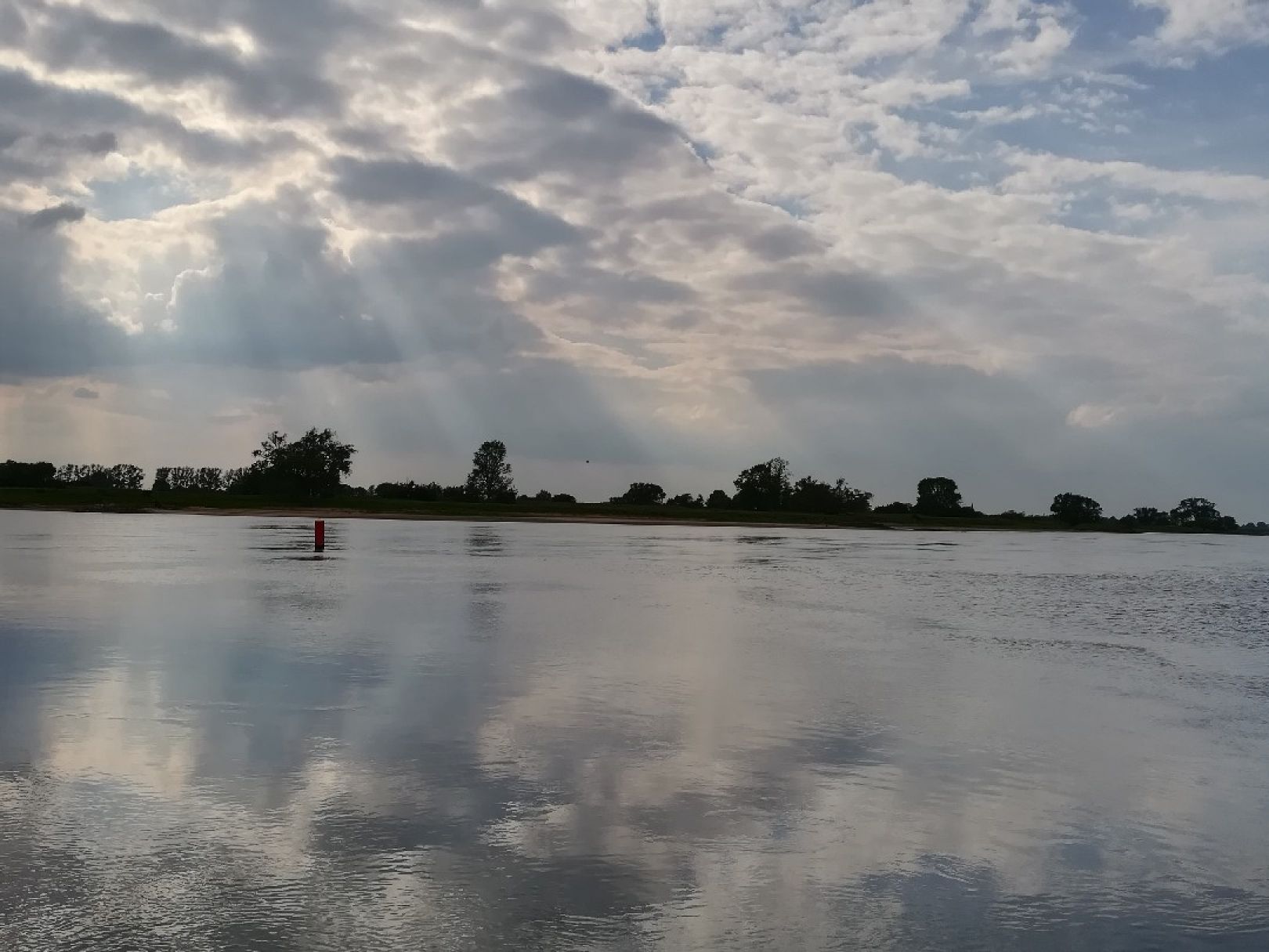 Elbe (Elbe-Parey) angeln