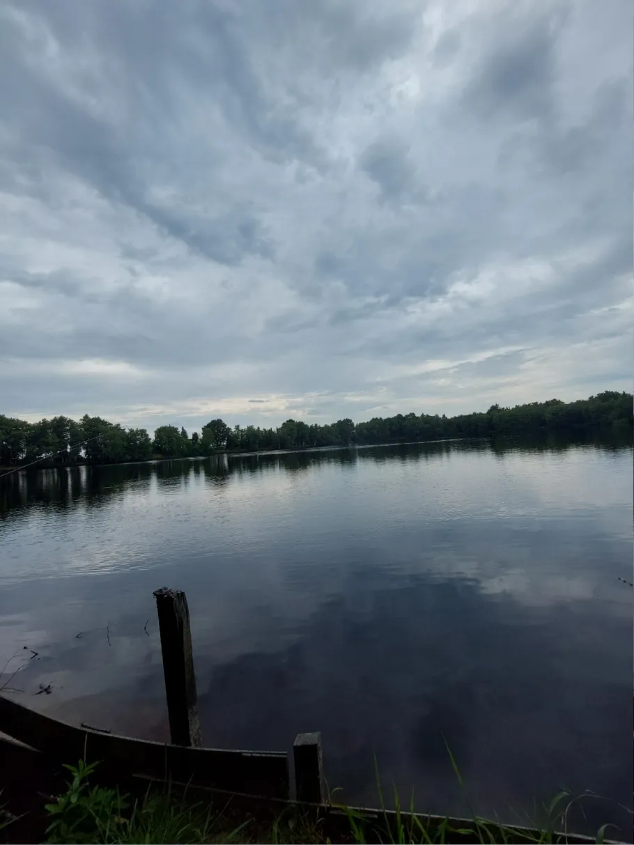 Teich an den Türmen (Westermoor) angeln