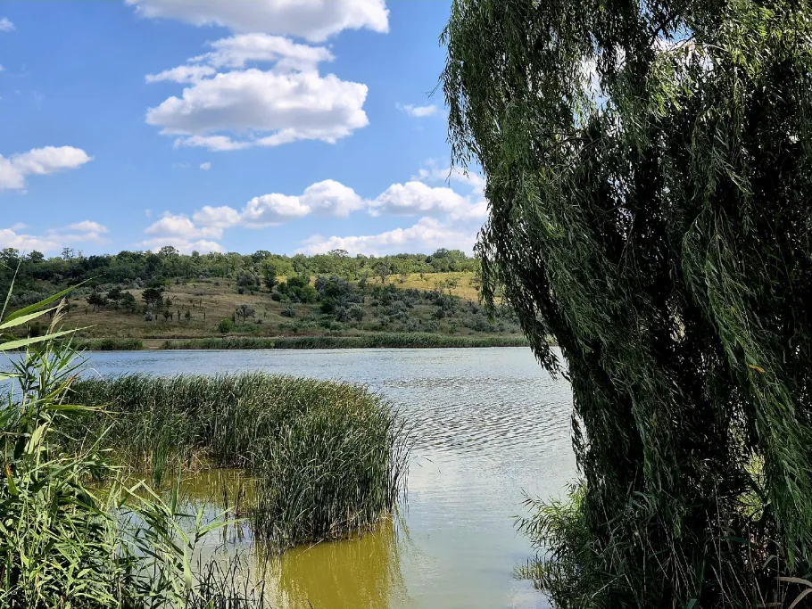 Lacul Orășenesc (Bălți) angeln