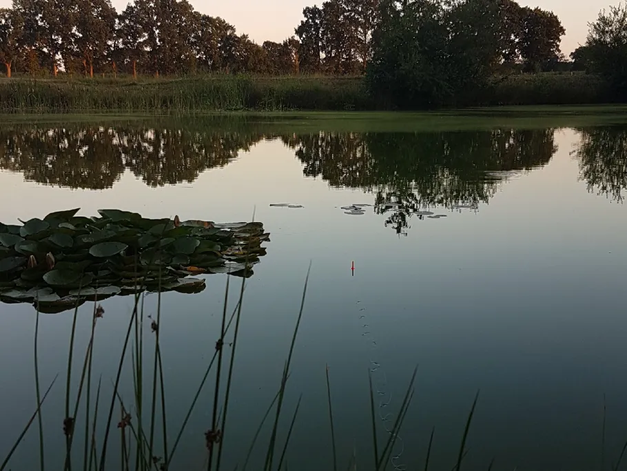 See am Greve (Großenkneten) angeln