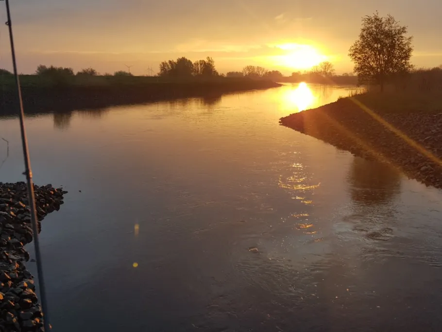 Untere Hunte (Wüsting) angeln