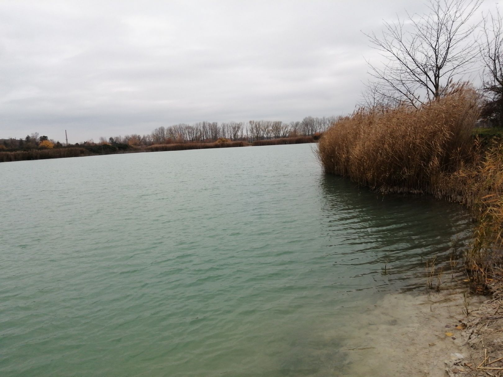Baggersee Holzhausen (Leipzig) angeln