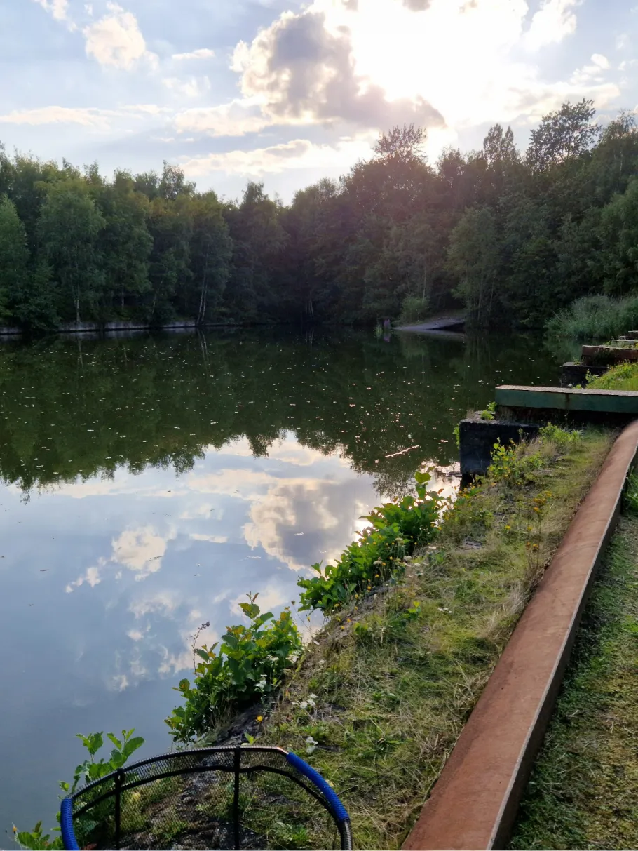 Angelteiche ASV Alt-Scharnhorst angeln