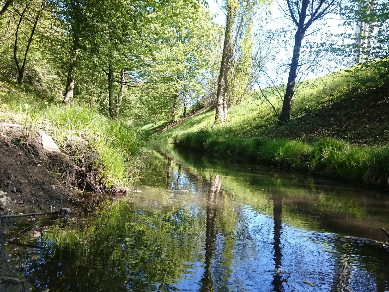 Eselsbach (Düsseldorf) angeln