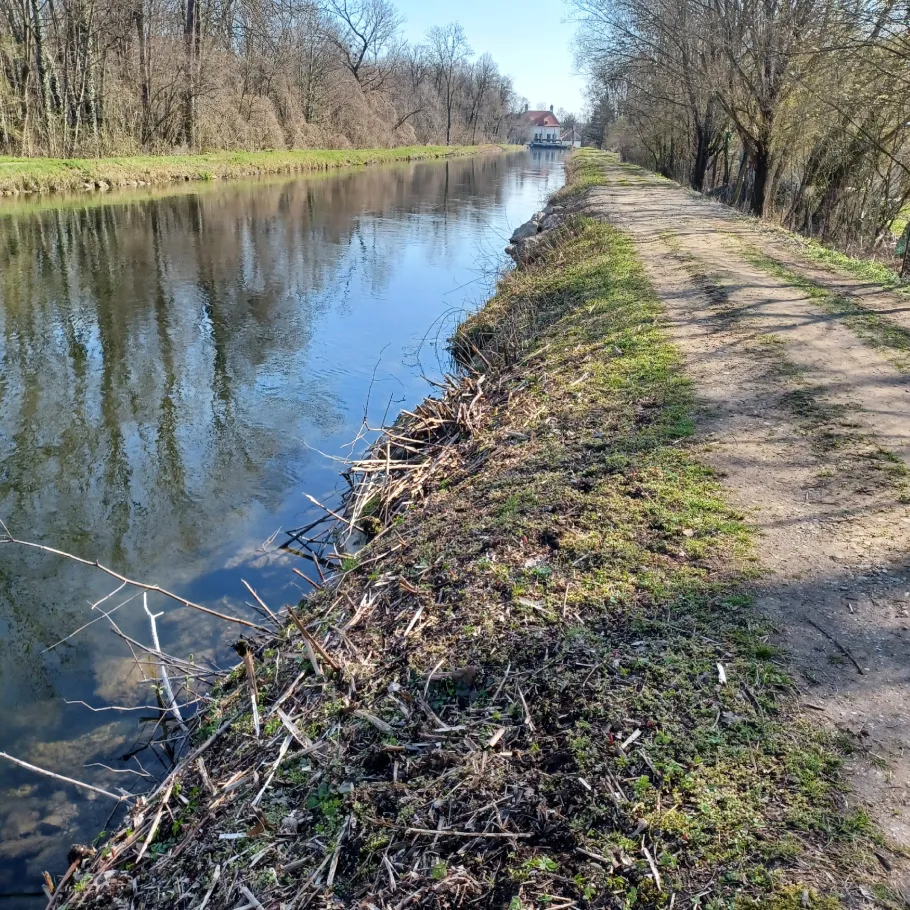 Mühlbach (Olching) angeln