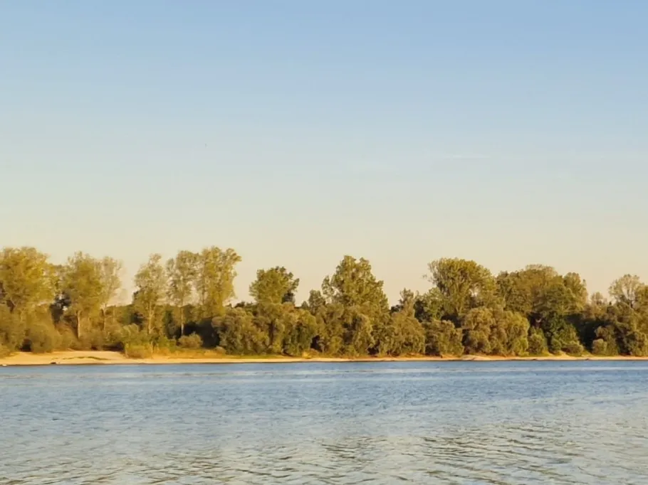 Beinheimer See angeln