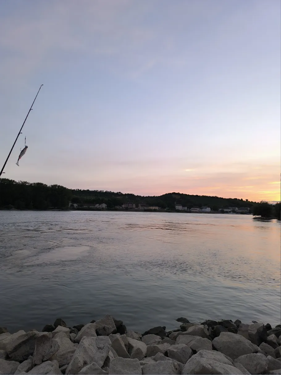 Rhein (Nierstein) angeln