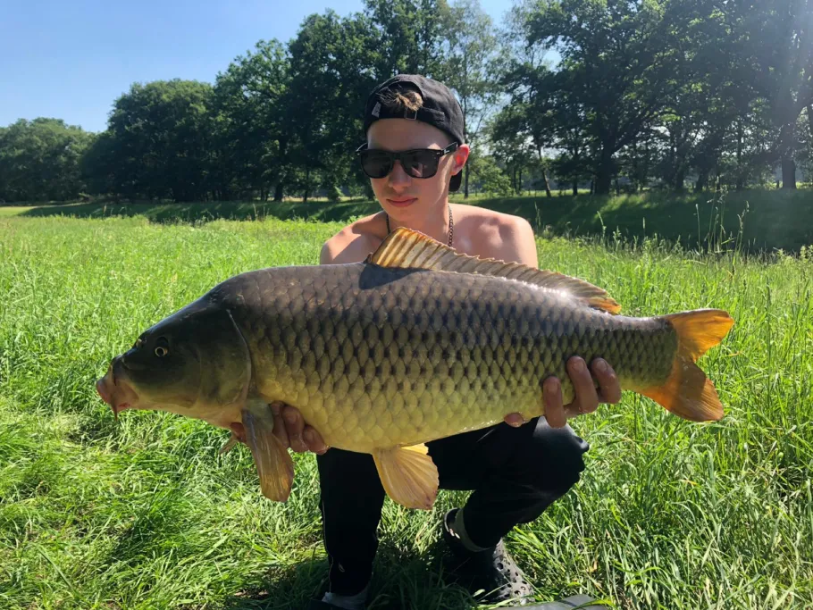 Hase (Haselünne) angeln