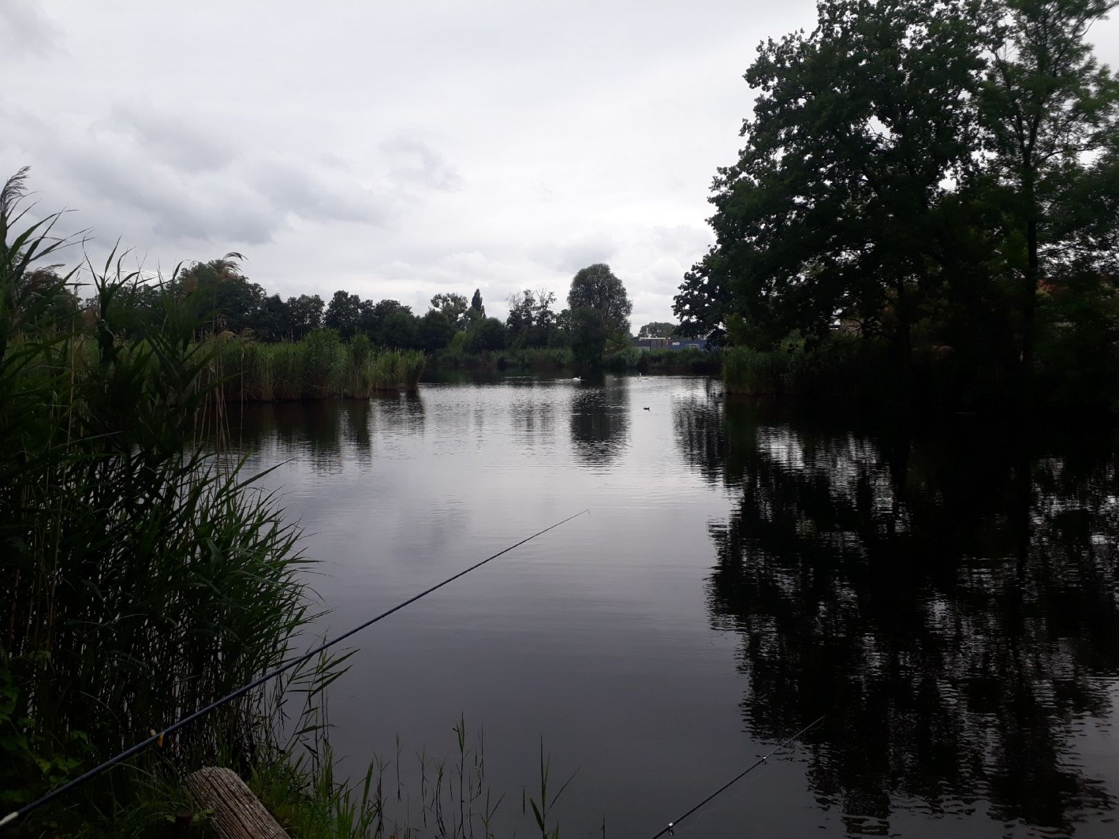 Brüders Teich (Gardelegen) angeln