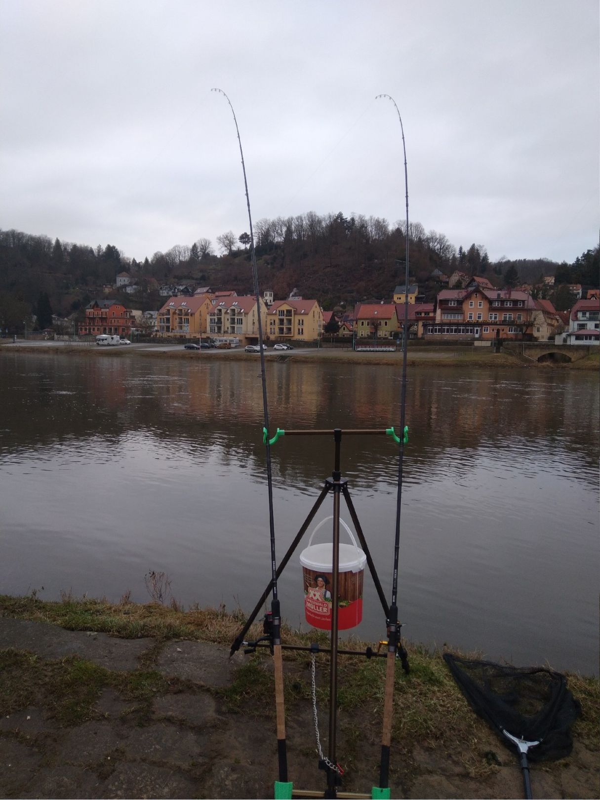 Elbe (Stadt Wehlen) angeln