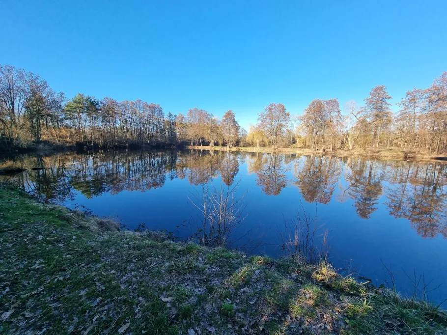 Georg-Smietana-See angeln