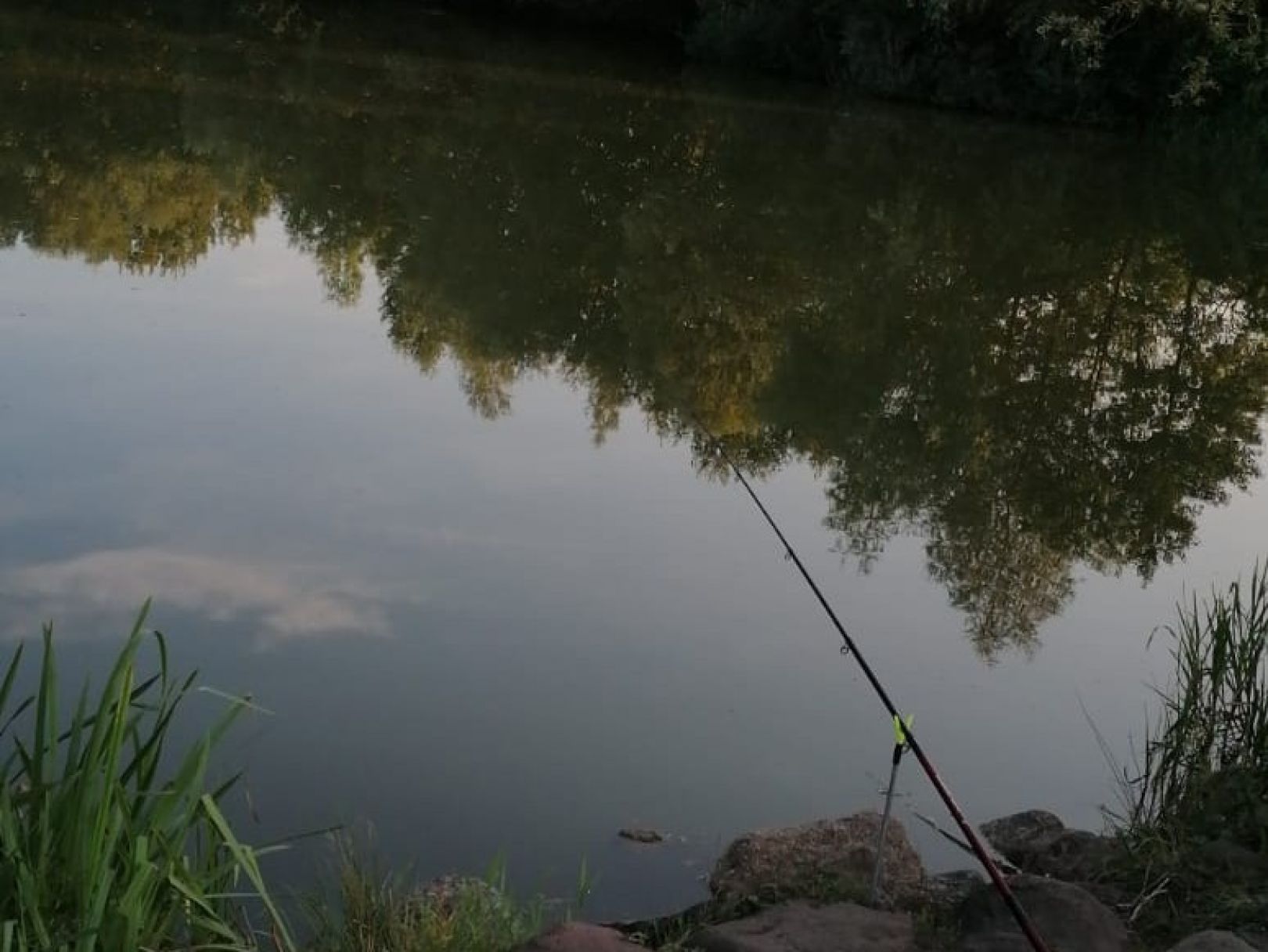 Rückhaltebecken Meckelfeld angeln
