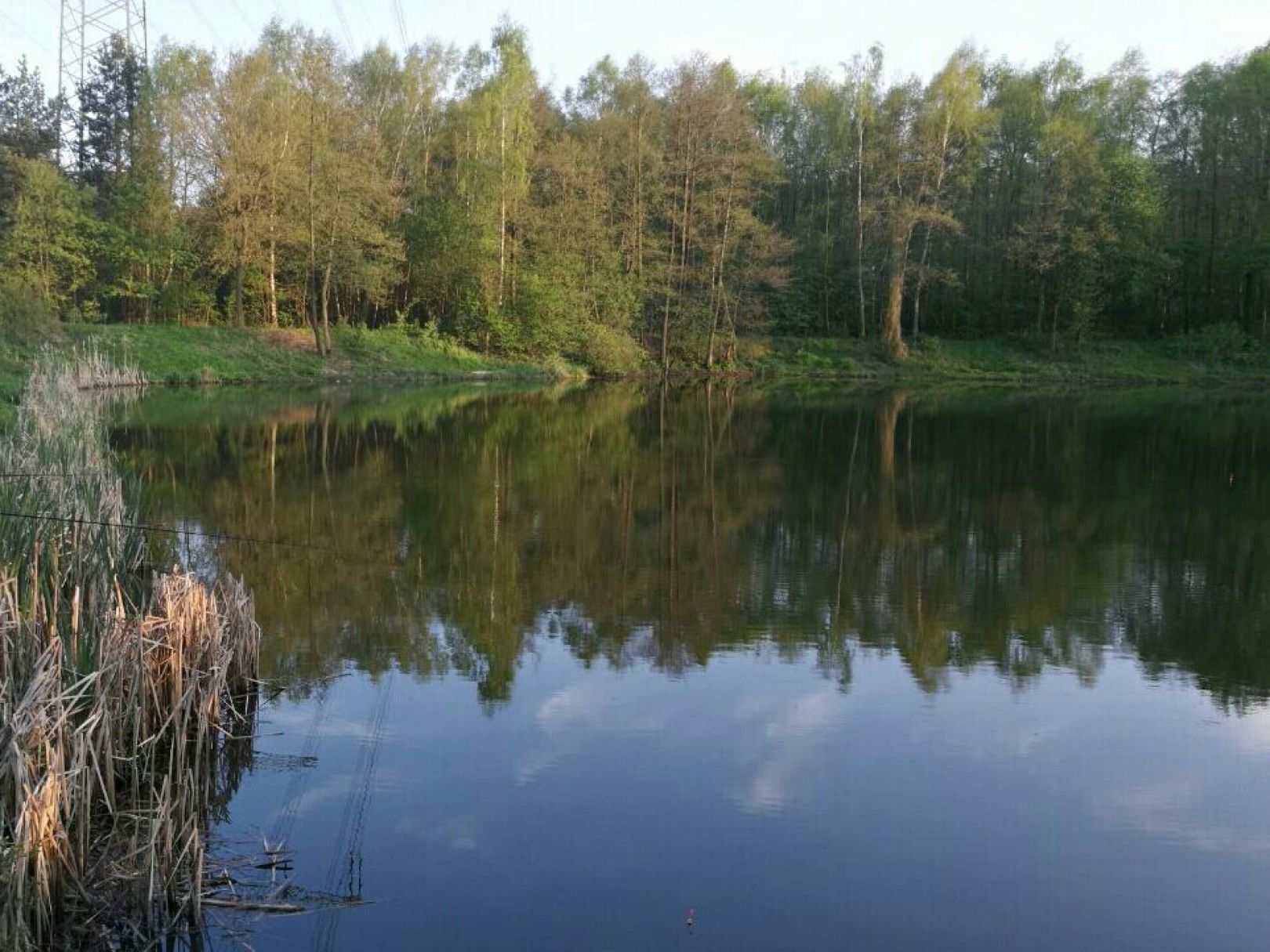 Regenrückhaltebecken Westerkappeln angeln