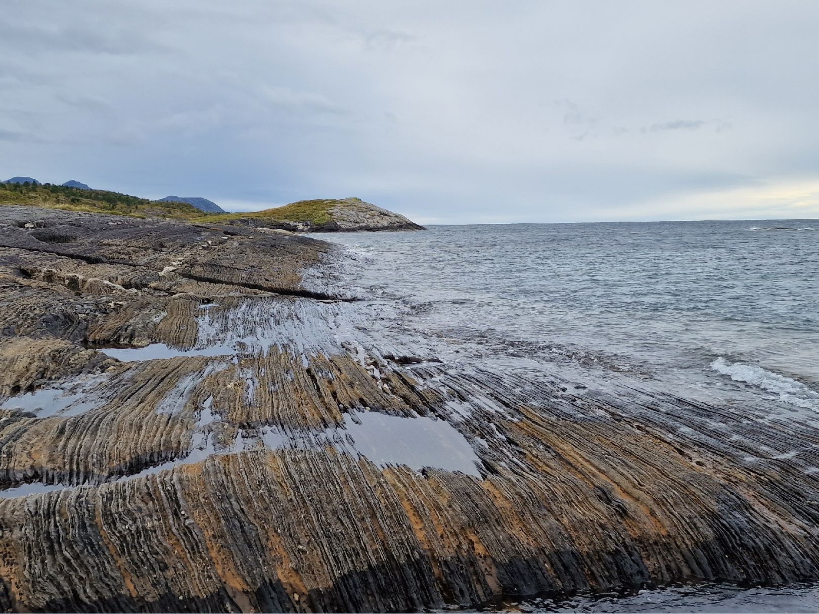 Saltfjorden angeln