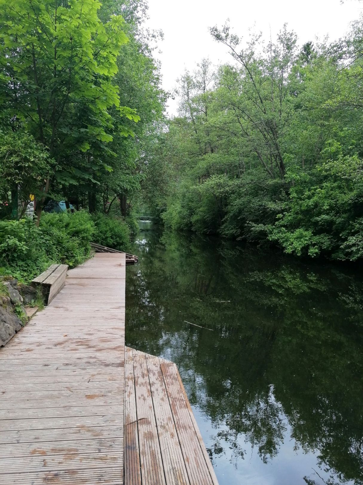 Schaalsee-Kanal (Dargow) angeln
