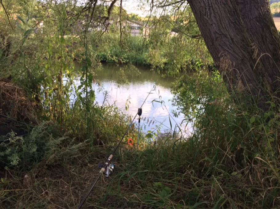 Fulda (Körle-Lobenhausen) angeln