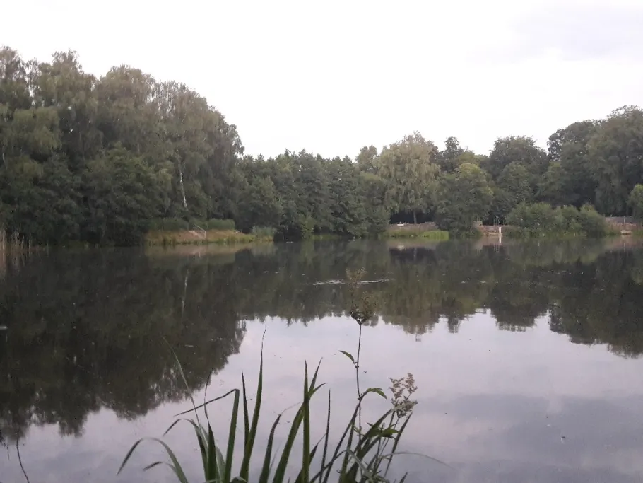 Stauweiher Kupferbach (Aachen) angeln