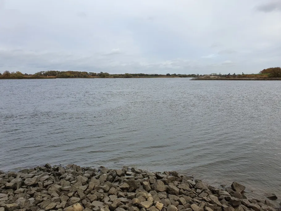 Elbe (Winsen/Luhe) angeln