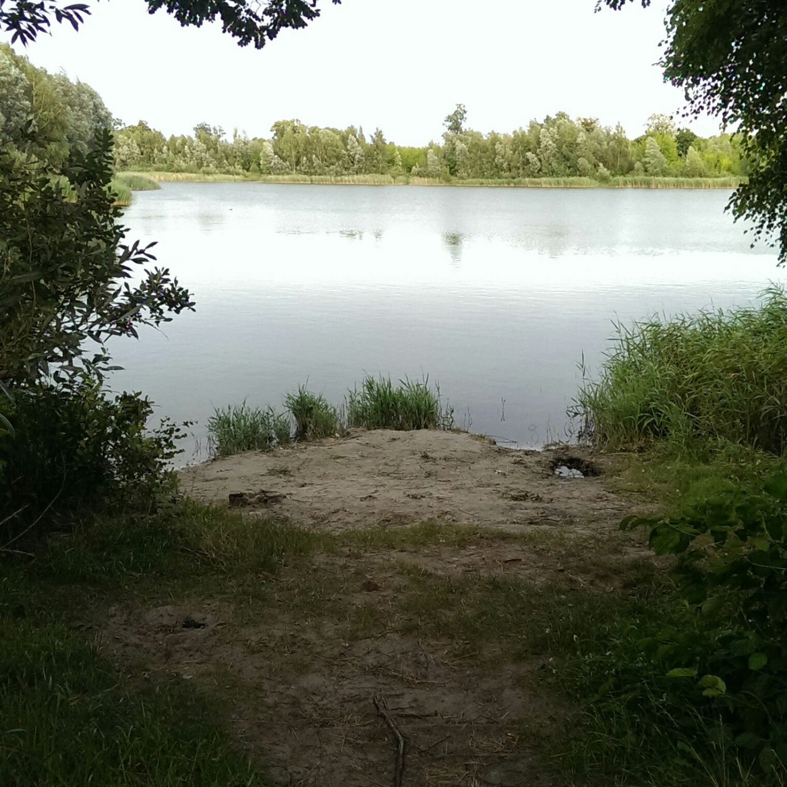 Baggersee Brieselang  angeln