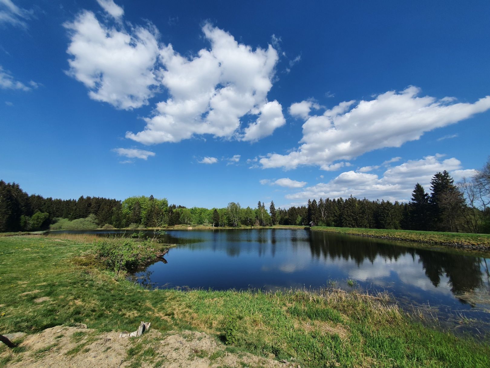 Langer Teich (Clausthal-Zellerfeld) angeln