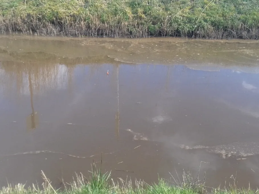 Leher Querwegsfleet angeln