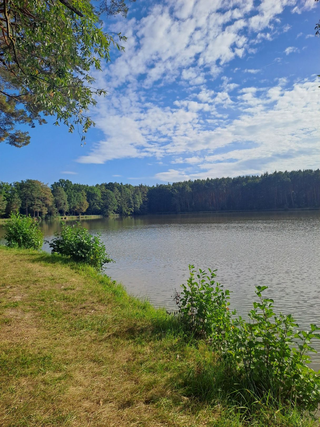 Steinersee 1 angeln