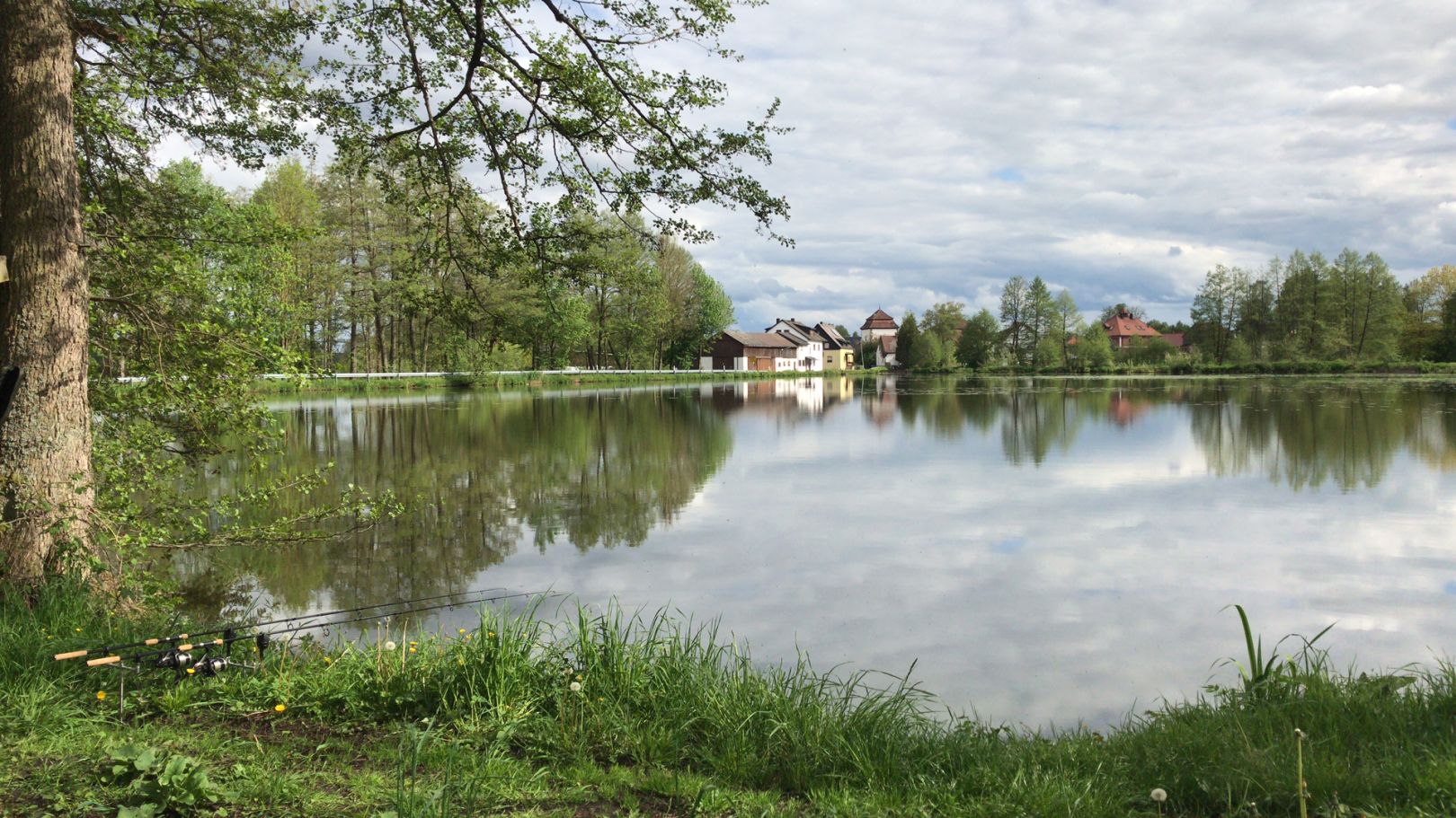 Hammerweiher (Dießfurt) angeln