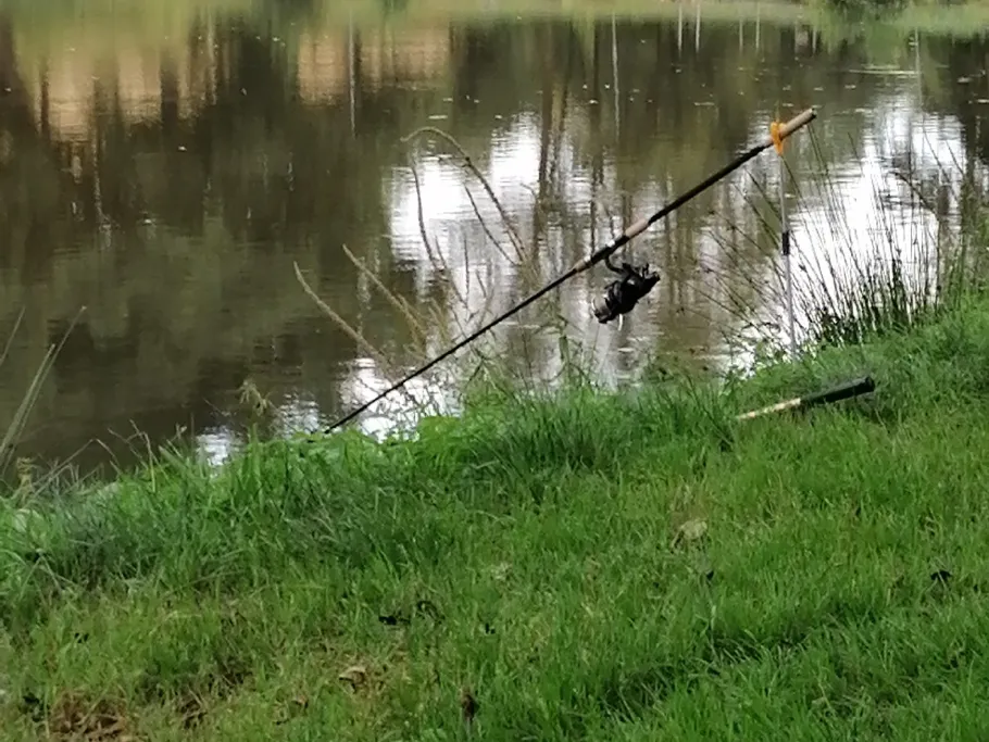 Angelteich Michelstadt angeln