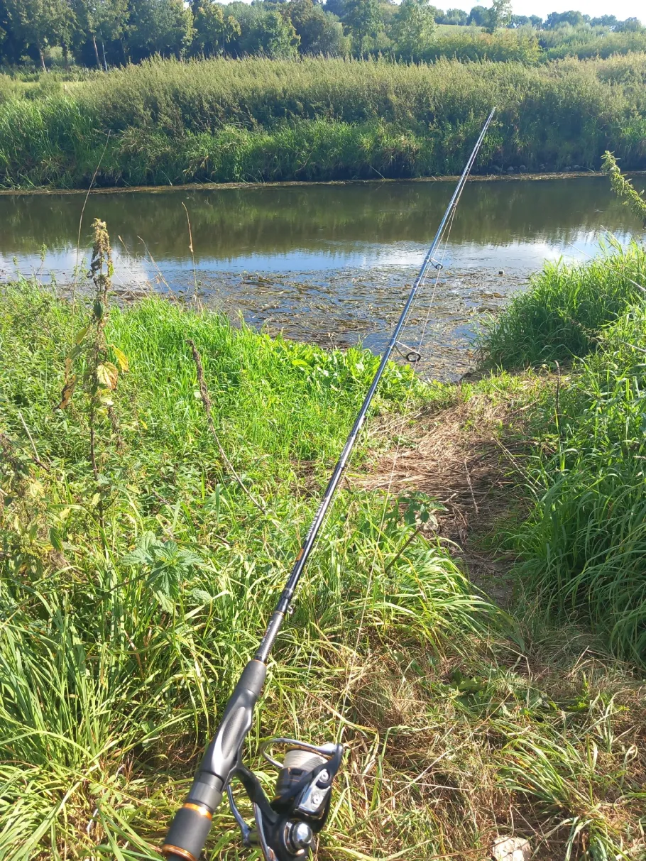 Trave (Bad Oldesloe) angeln