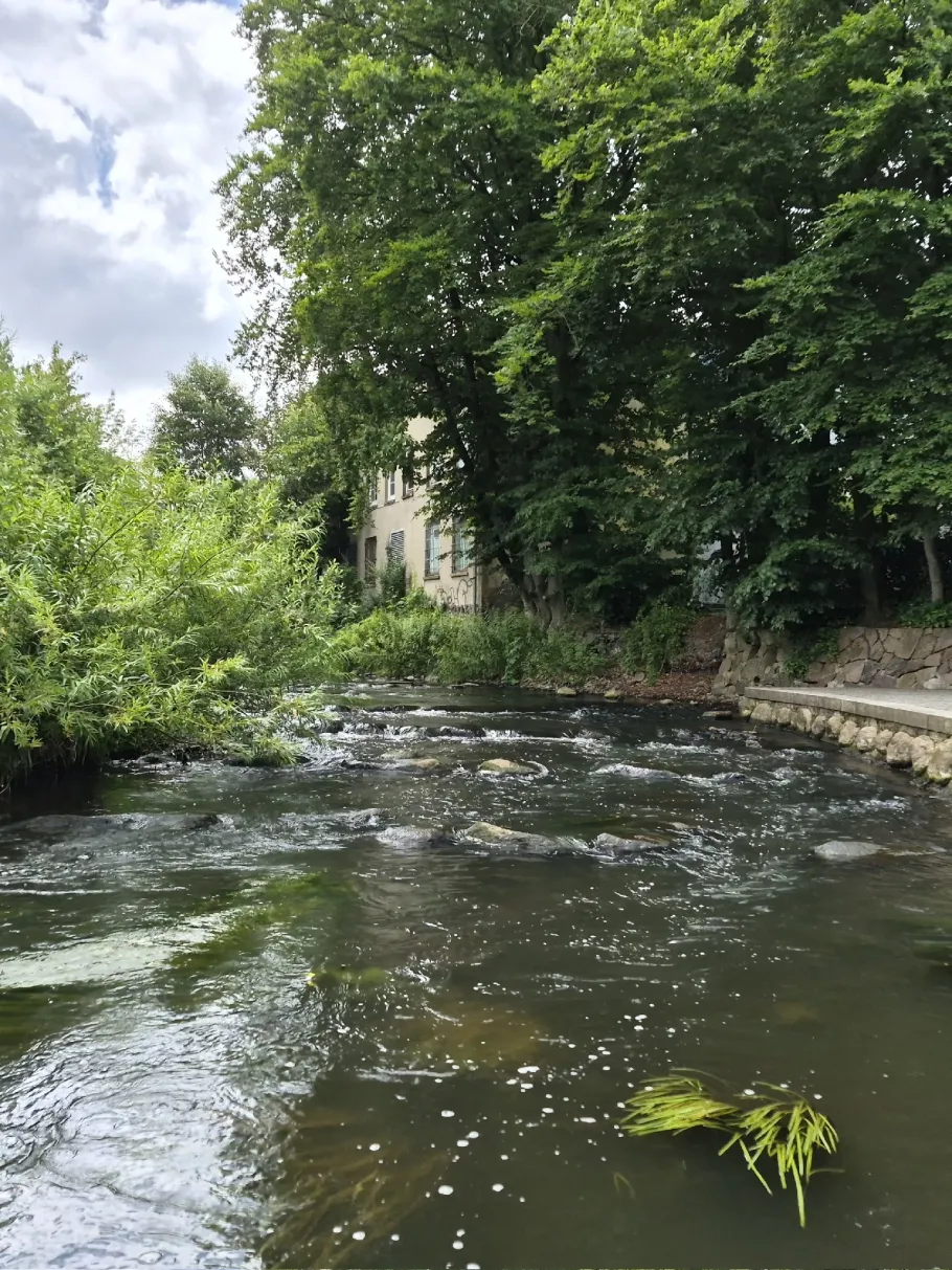 Trave (Bad Oldesloe) angeln
