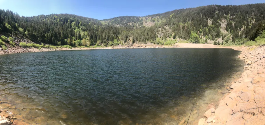 Lac Noir (Orbey) angeln