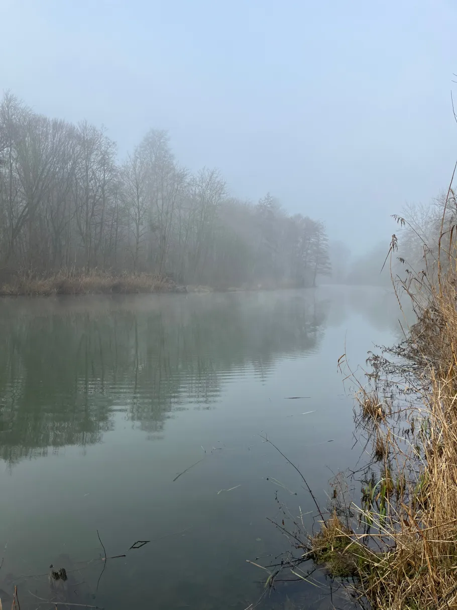 Werreschleife (Bad Oeynhausen) angeln
