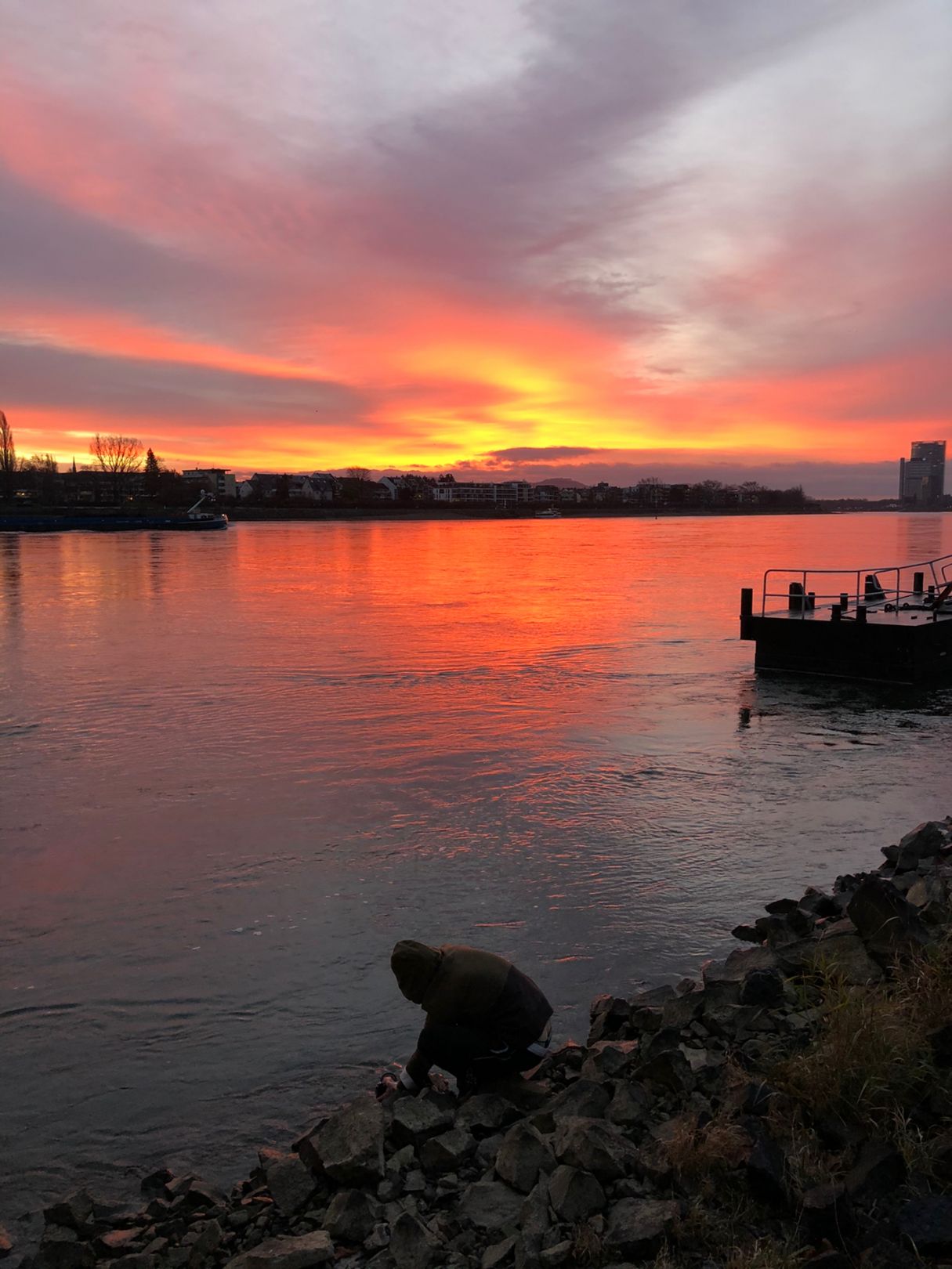 Rhein (Bonn) angeln