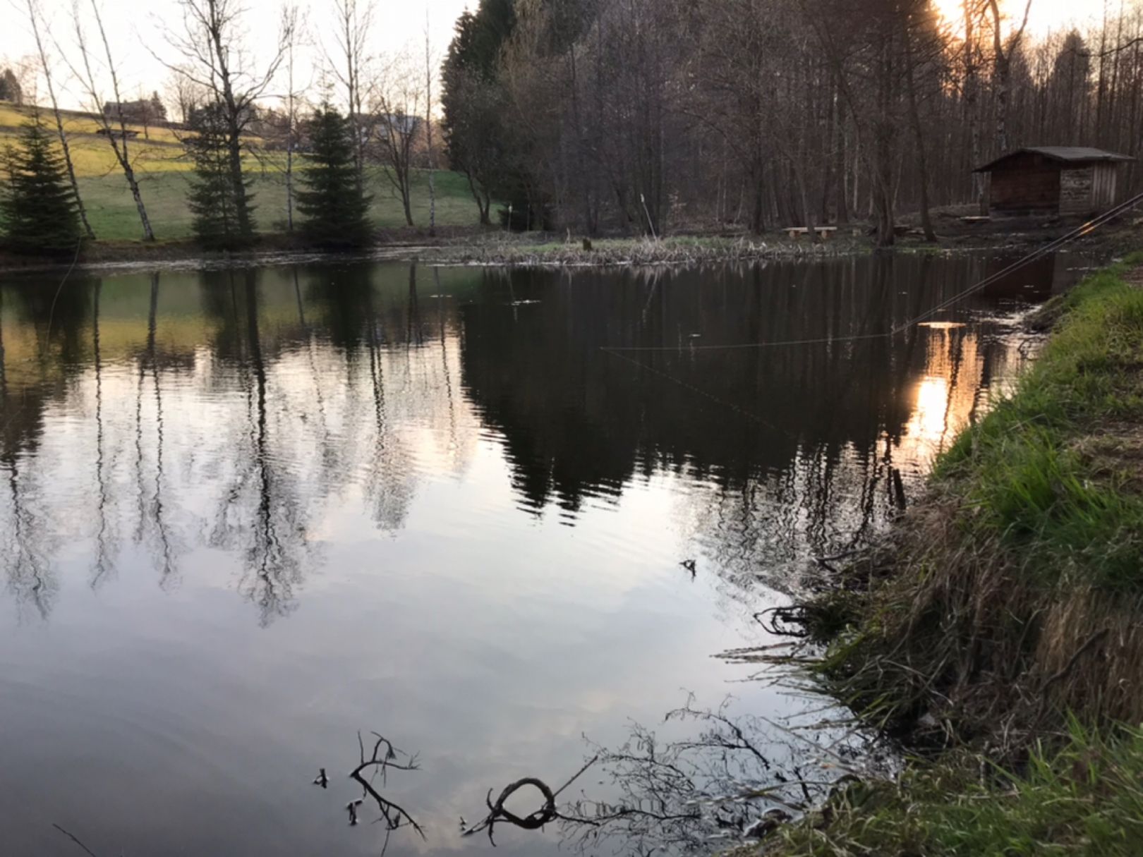 Herrenteich (Schönheide) angeln