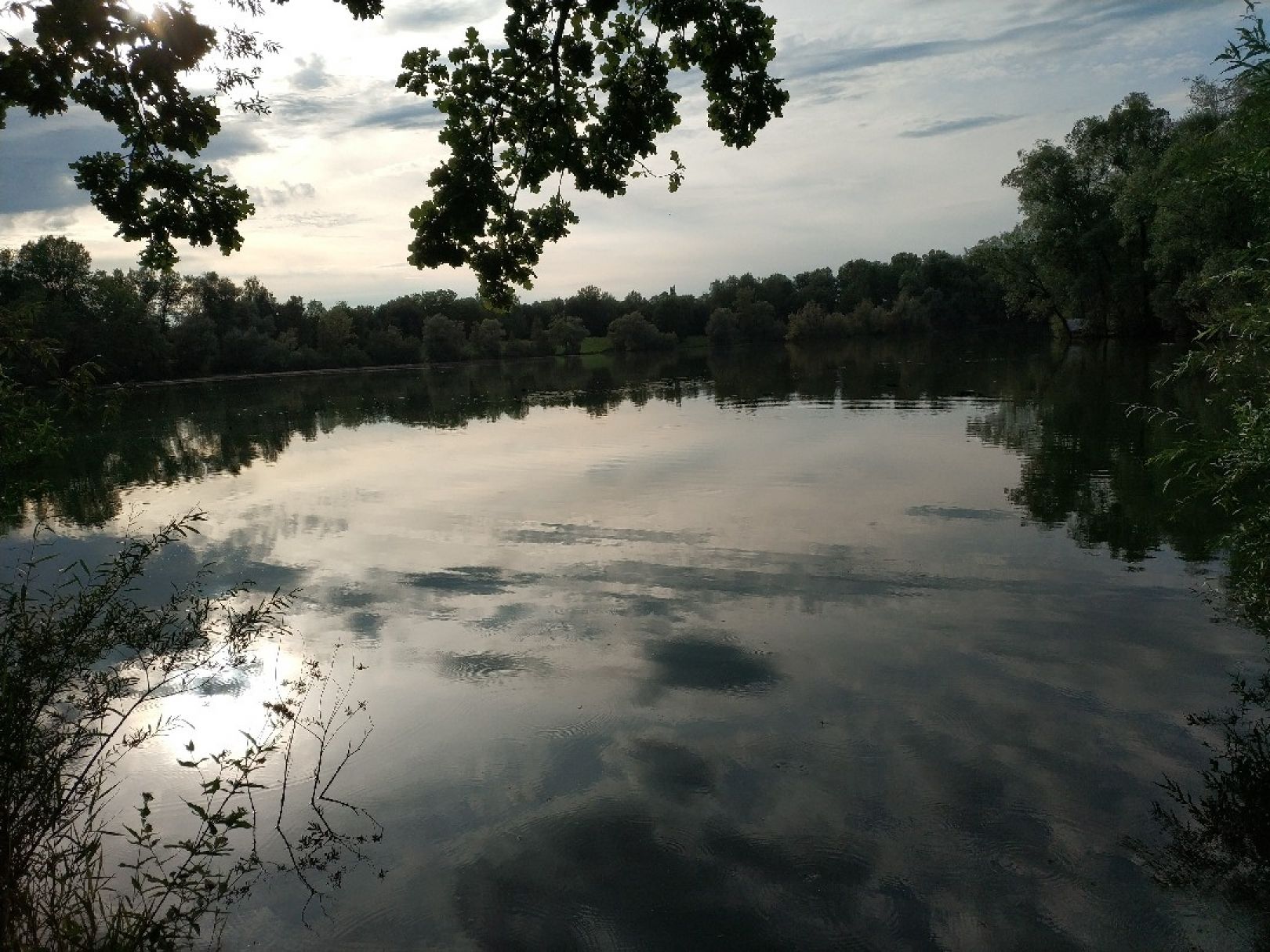 Salzachsee (Salzburg) angeln