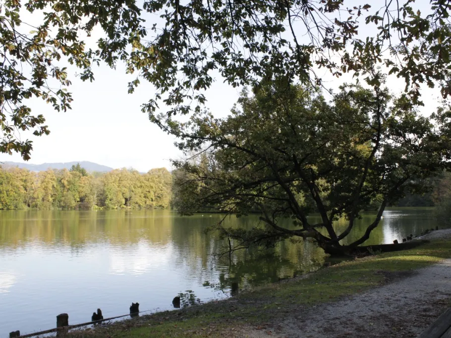 Leopoldskroner Weiher angeln