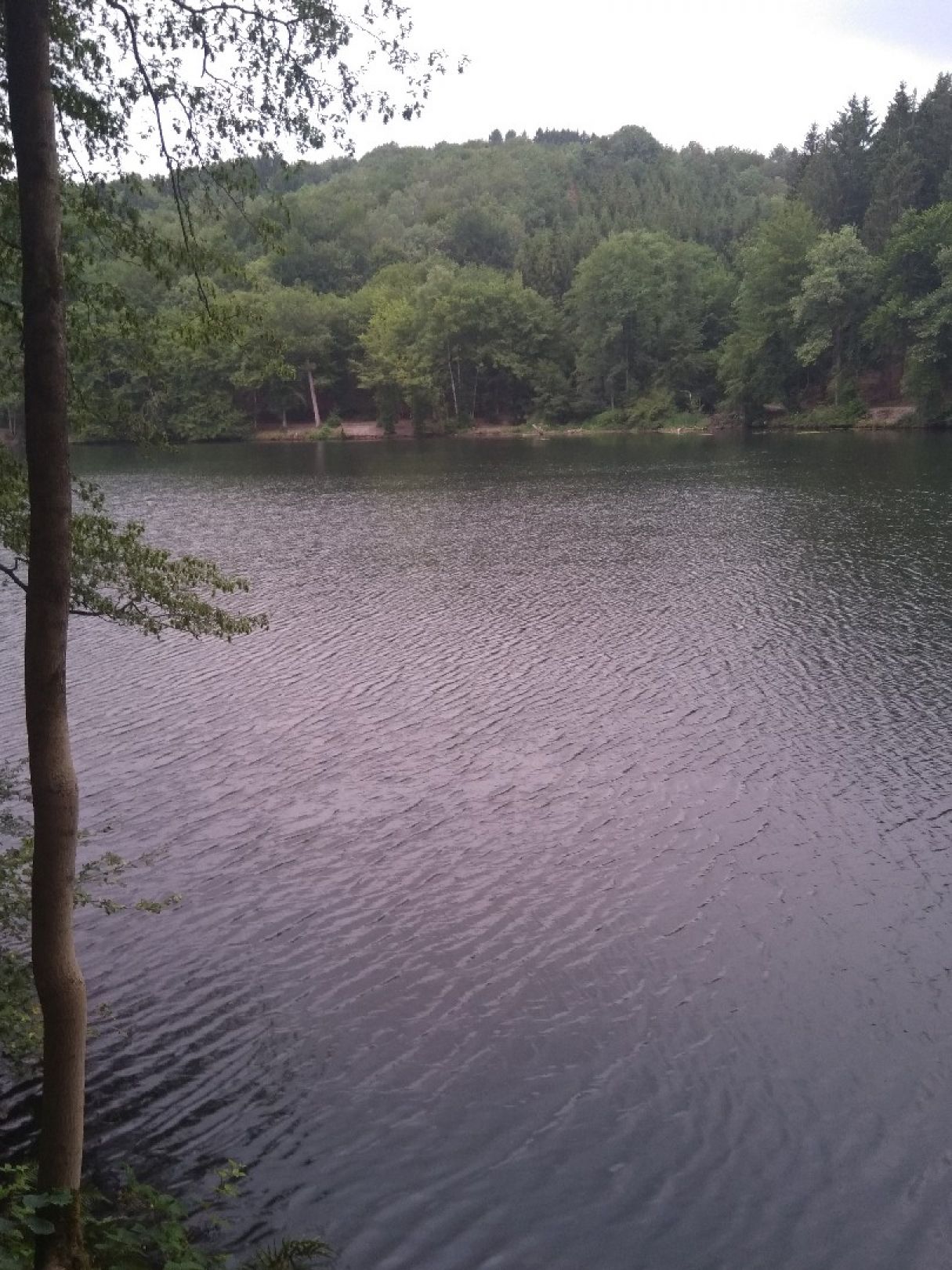 Biebersteiner Stausee angeln