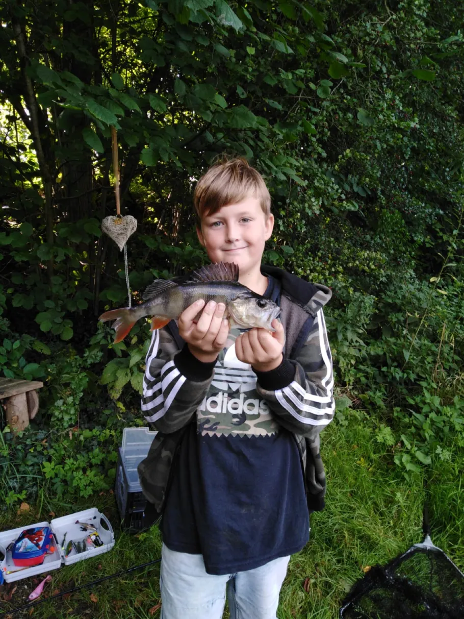 Eider (Delve/Erfde) angeln