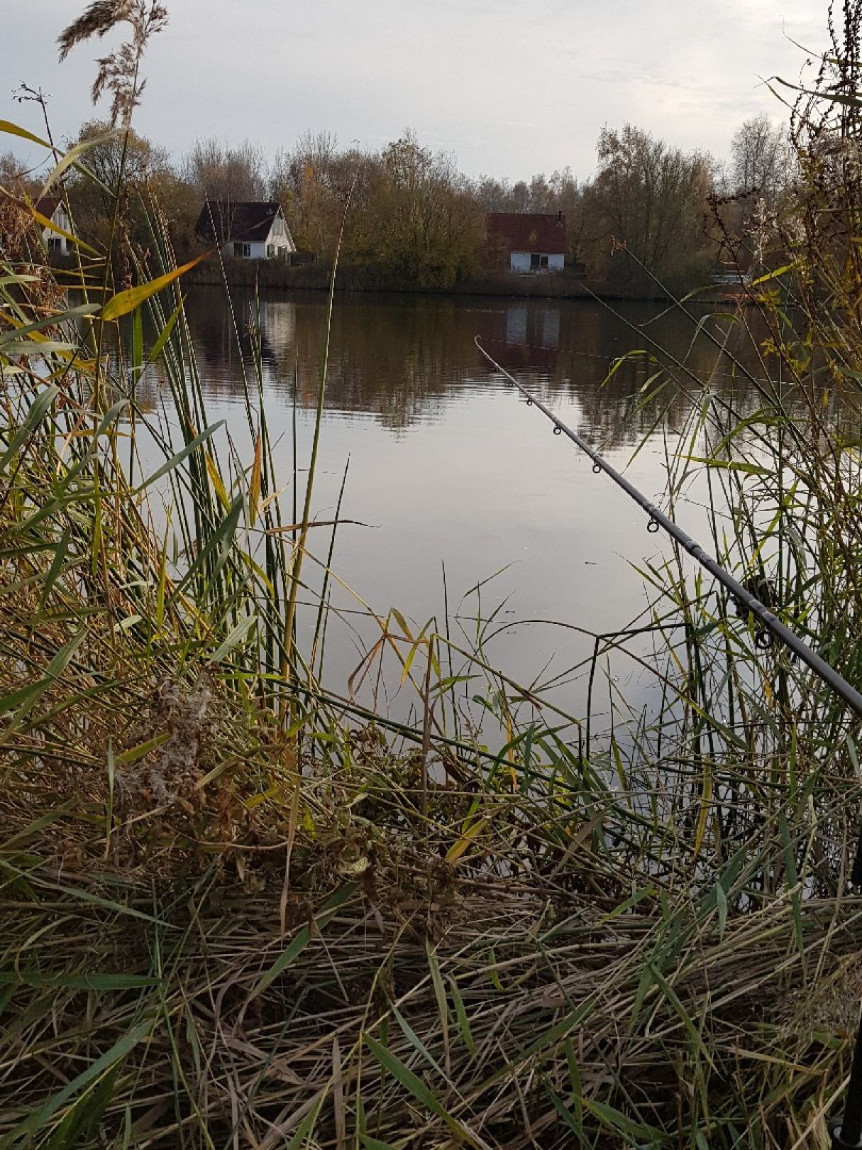 Landal Natuurdorp Suyderoogh angeln