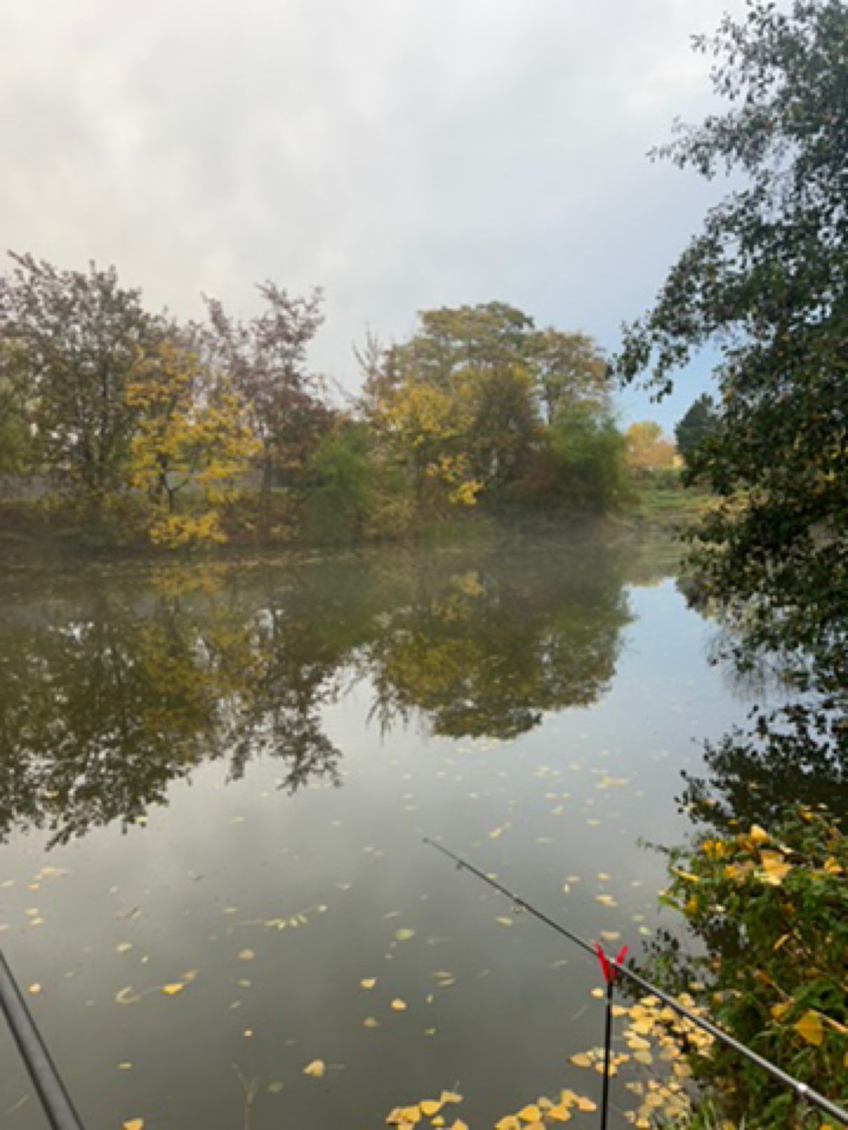 Karpfenteich Kleinlauchstädt angeln