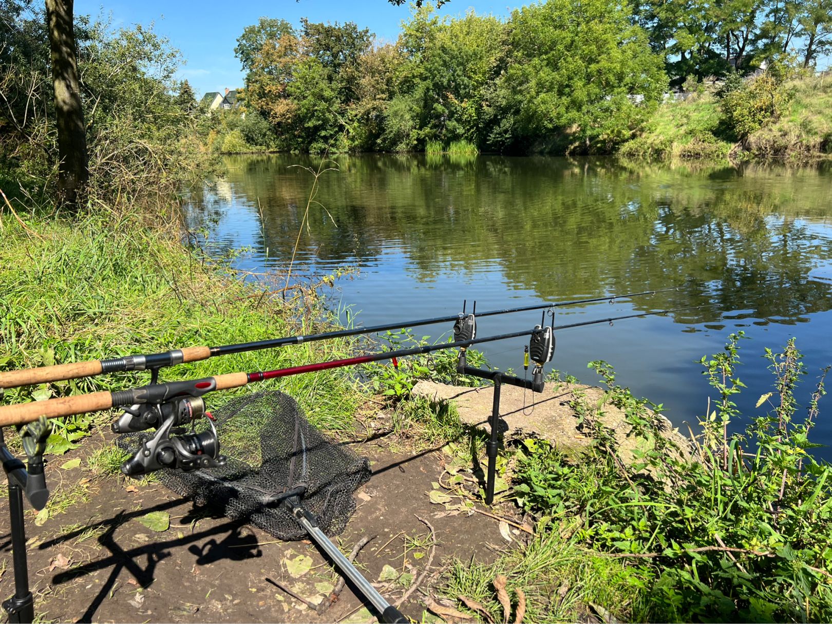 Karpfenteich Kleinlauchstädt angeln