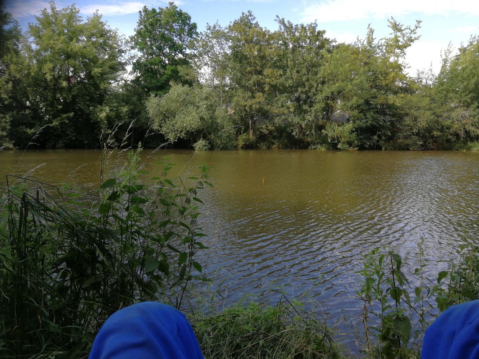 Karpfenteich Kleinlauchstädt angeln