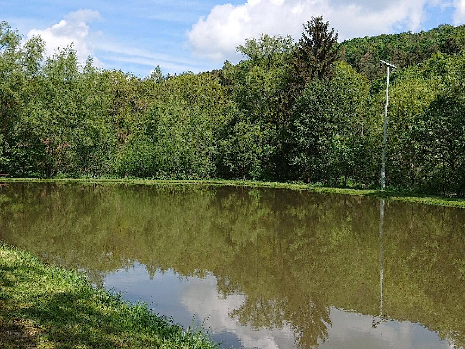 Angeln in Oberscheinfeld